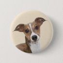 Search for greyhound badges Dog