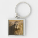 Search for rodent key rings Capybara