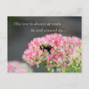 Search for love of god postcards Flowers