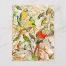 Search for ara postcards Macaw