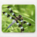 Search for damselfly mousepads Bug