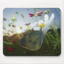 Search for fresh flowers mousepads Freshness