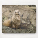 Search for posing mousepads Animal