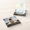 Search for aerospace barware Aircraft