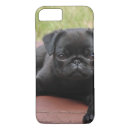 Search for pug puppy iphone cases Black