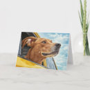 Search for yellow car cards Dog in car