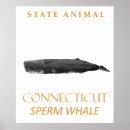 Search for sperms posters Whales