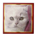 Search for abstract cat art tiles Pet
