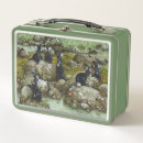 Search for rabbit lunch boxes Watercolor