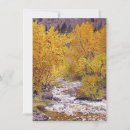 Search for autumn tree cards Aspen