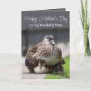 Search for bird mom cards Nature