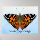 Search for colorful butterflies posters Insect