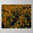 Search for porcupine mountains posters Forest