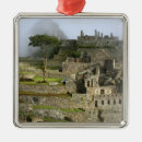 Search for living stones christmas tree decorations Mountain