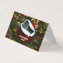 Search for american shorthair cards Pet