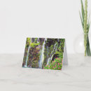Search for hana cards Landscape