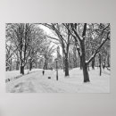 Search for strolling posters Winter