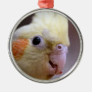 Search for cockatiel christmas tree decorations Cute