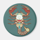 Search for scorpion magnets Constellation