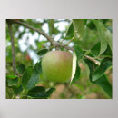 Search for juicy posters Food