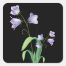 Search for purple and black flowers stickers Floral