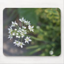 Search for delicate mousepads Floral