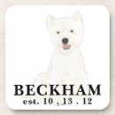 Search for terrier coasters White