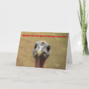 Search for funny turkey christmas cards Cute