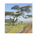 Search for roads notepads Nobody
