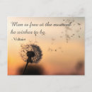 Search for dandelion wishes quotes Inspiring