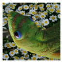 Search for cute lizard posters Gecko