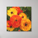 Search for orange poppy canvas prints Red