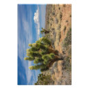 Search for joshua tree art Hiking