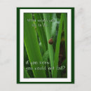 Search for quotations” cards Photography