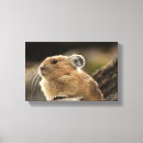 Search for rodents art Grey