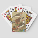 Search for bird playing cards Colourful