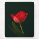 Search for red tulip flower electronics Bloom