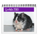 Search for gerbils Pet