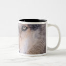 Search for wolf eyes mugs Wildlife