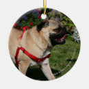Search for mop mop christmas tree decorations Pug