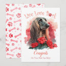 Search for afghan cards Dog lover