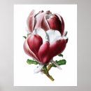 Search for large flower posters Pink