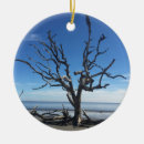 Search for georgia for christmas tree decorations Driftwood
