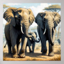 Search for unique elephant Safari