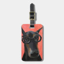 Search for doberman accessories Animals