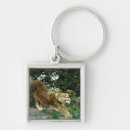 Search for lion photo key rings Animal