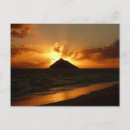 Search for hawaii souvenirs postcards Tropical