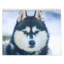 Search for husky office supplies Black