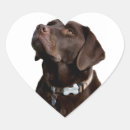 Search for black and brown stickers For her