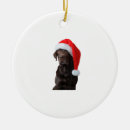 Search for chocolate lab christmas tree decorations Animal